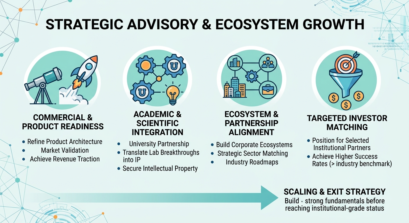 Strategic Advisory Beyond Traditional Venture Capital for Scale-Ups and Research Spin-Outs New Zealand